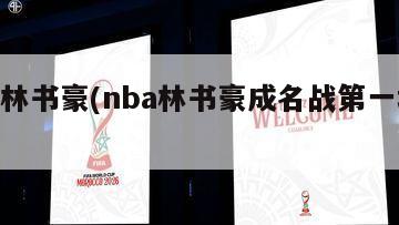 nba林书豪(nba林书豪成名战第一场国语)