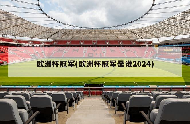 欧洲杯冠军(欧洲杯冠军是谁2024)