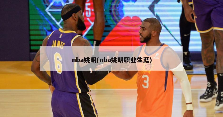 nba姚明(nba姚明职业生涯)