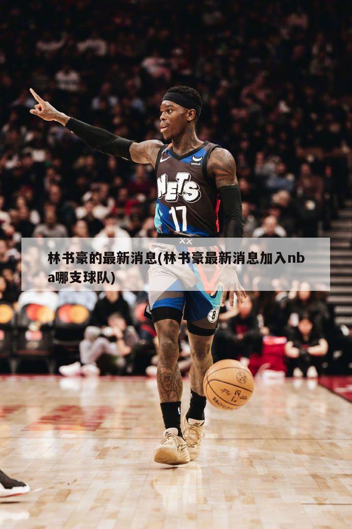 林书豪的最新消息(林书豪最新消息加入nba哪支球队)