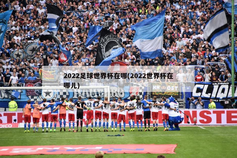 2022足球世界杯在哪(2022世界杯在哪儿)