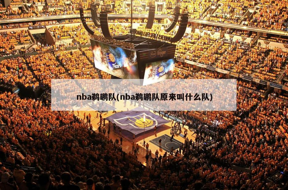 nba鹈鹕队(nba鹈鹕队原来叫什么队)